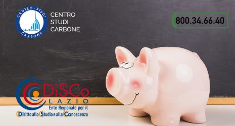 Borse di studio DiSCo?
